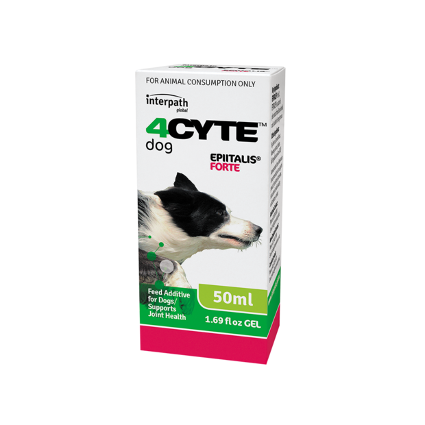 4Cyte Epiitalis Forte for Dogs - 50ml