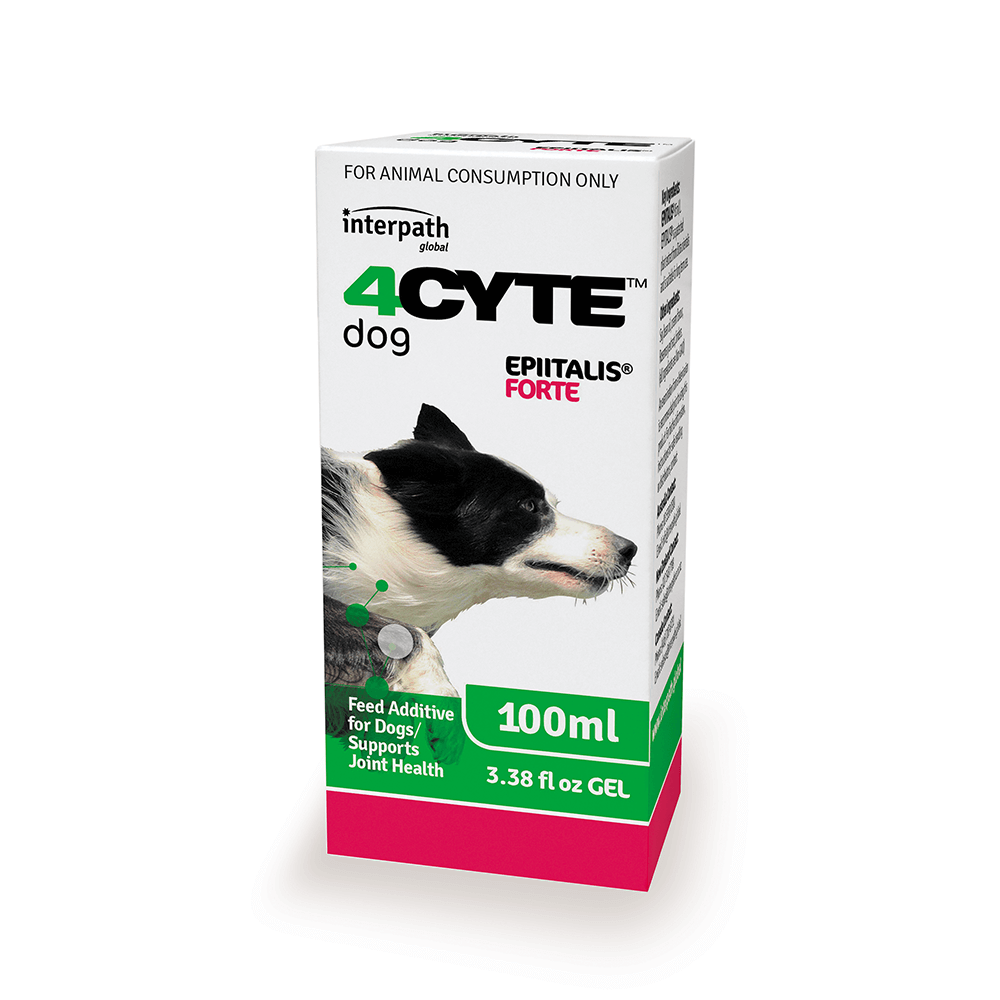 4Cyte Epiitalis Forte for Dogs - 100ml