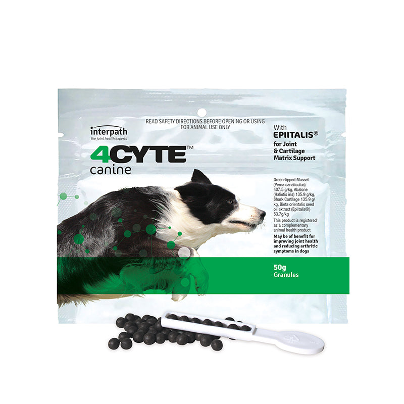 4Cyte Dog Supplement - 50g