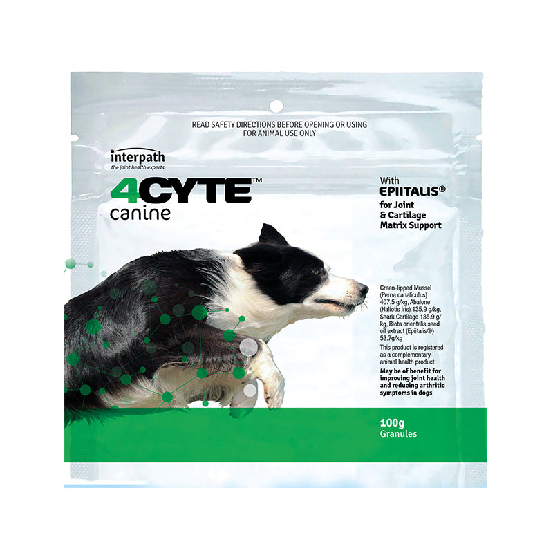 4Cyte Dog Supplement - 100g