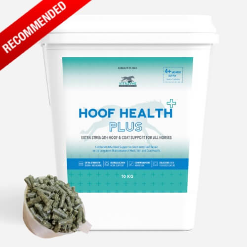 Hoof Health Plus