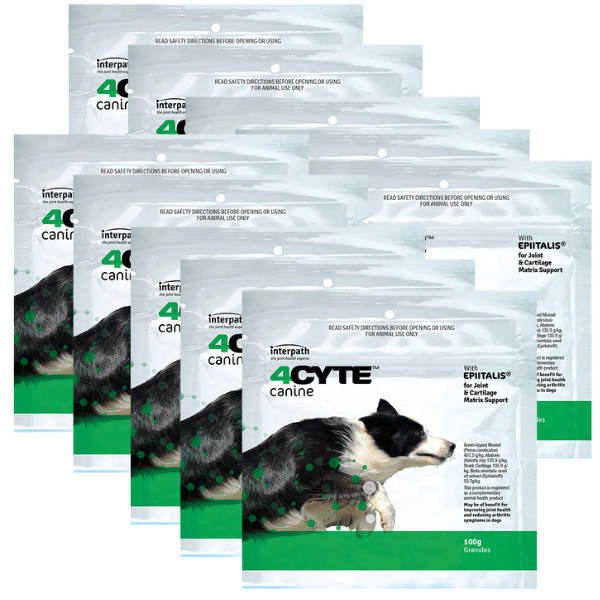 4Cyte Dog Supplement (10 x 100g)