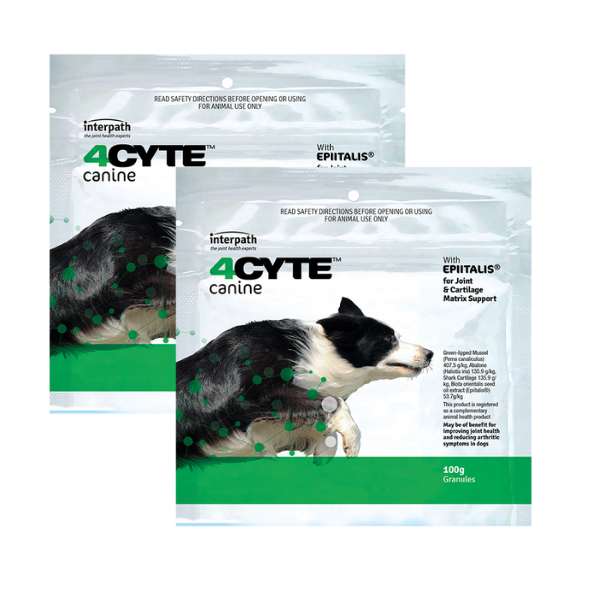 4Cyte Dog Supplement (2 x 100g)