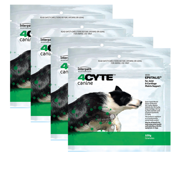 4Cyte Dog Supplement (4 x 100g)