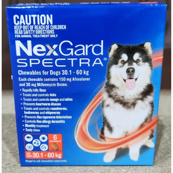 NexGard Spectra 6 Pack